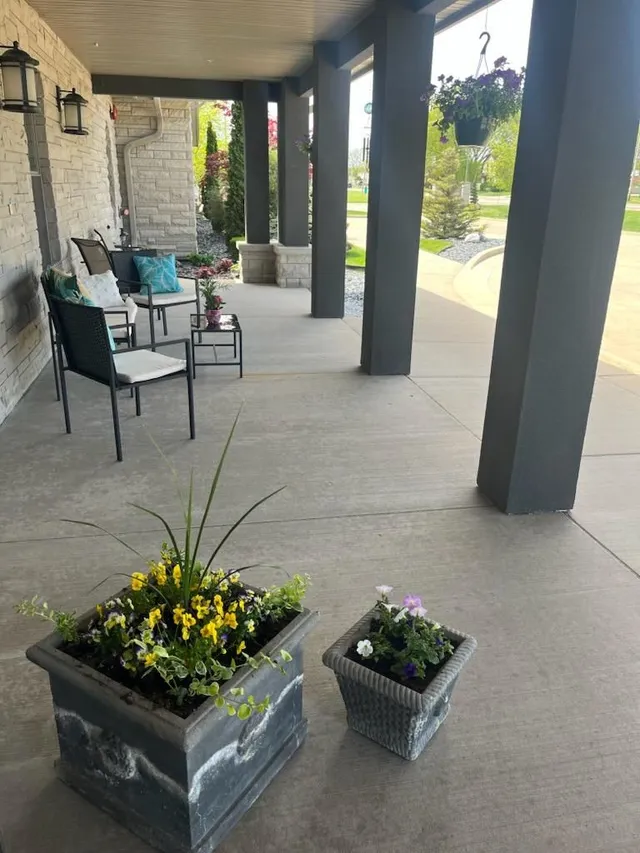 Picture of plants on a veranda